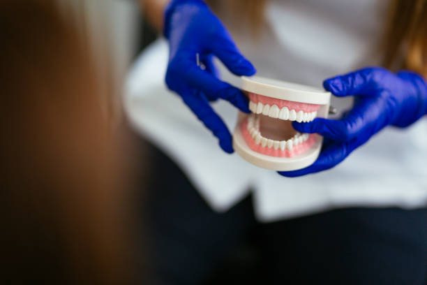 Professional  Holistic Dental Services in Victor, ID